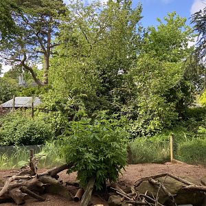 Bristol Zoo Meerkat Lookout