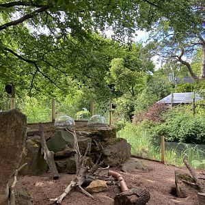 Bristol Zoo Meerkat Lookout