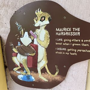 Bristol Zoo Meerkat Lookout