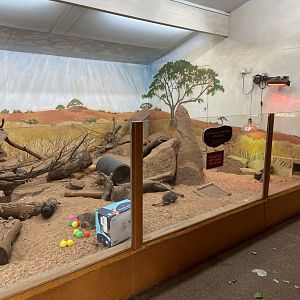 Bristol Zoo Meerkat Lookout