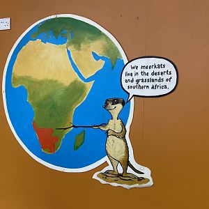 Bristol Zoo Meerkat Lookout