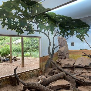 Bristol Zoo Meerkat Lookout