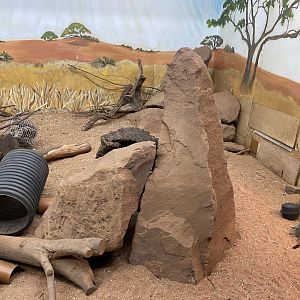 Bristol Zoo Meerkat Lookout
