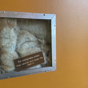 Bristol Zoo Meerkat Lookout