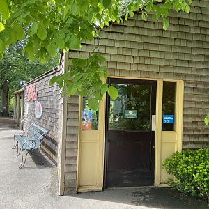 Bristol Zoo Meerkat Lookout