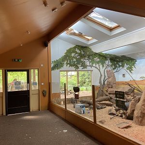 Bristol Zoo Meerkat Lookout