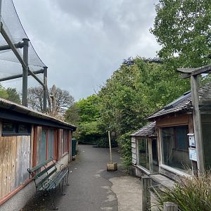 Bristol Zoo