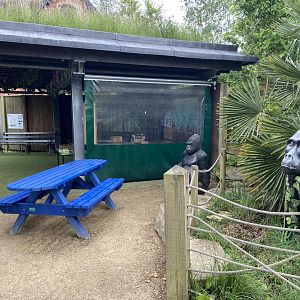 Bristol Zoo Gorilla Island