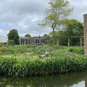 Bristol Zoo Gorilla Island