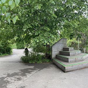 Bristol Zoo Gorilla Island