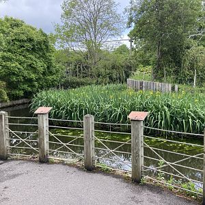 Bristol Zoo Gorilla Island