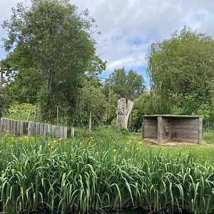 Bristol Zoo Gorilla Island