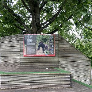 Bristol Zoo Gorilla Island