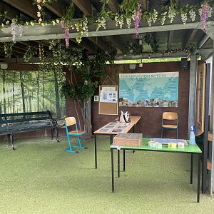 Bristol Zoo Gorilla Island