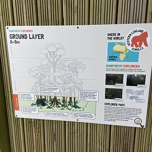 Bristol Zoo Gorilla Island