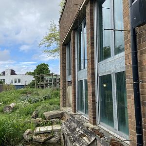 Bristol Zoo Gorilla Island