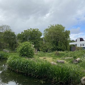 Bristol Zoo Gorilla Island