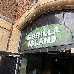 Bristol Zoo Gorilla Island