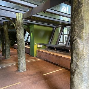 Bristol Zoo Gorilla Island