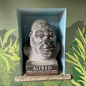 Bristol Zoo Gorilla Island