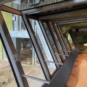 Bristol Zoo Gorilla Island