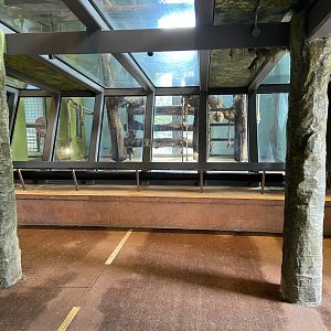 Bristol Zoo Gorilla Island