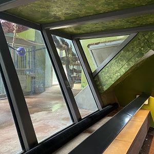 Bristol Zoo Gorilla Island