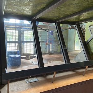 Bristol Zoo Gorilla Island