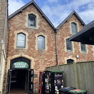 Bristol Zoo Gorilla Island