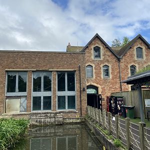 Bristol Zoo Gorilla Island