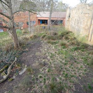 Land of the Lions - Asiatic lion exhibit 180322