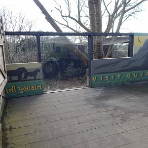 Land of the Lions 180322