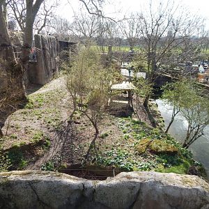 Land of the Lions - Asiatic lion exhibit 180322