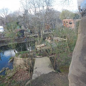Land of the Lions - Asiatic lion exhibit 180322