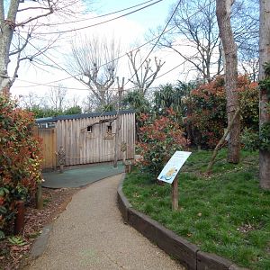 In with the Monkeys 180322