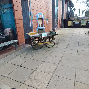 Land of the Lions 180322