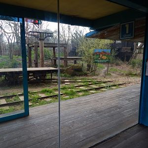 Land of the Lions 180322