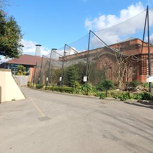 Blackburn Pavilion - external aviaries 180322