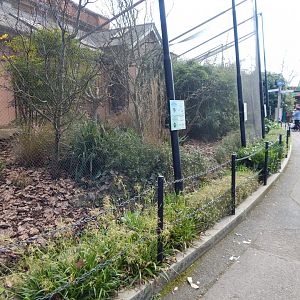 Blackburn Pavilion - external aviaries 180322