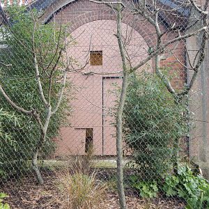 Blackburn Pavilion - Javan green magpie aviary 180322