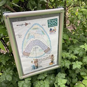 Bristol Zoo