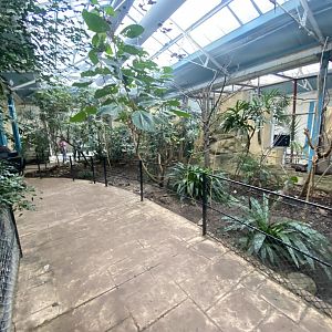 Blackburn Pavilion - indoor walkthrough aviary 180322