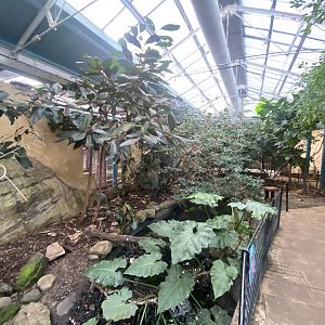 Blackburn Pavilion - indoor walkthrough aviary 180322