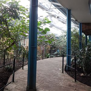 Blackburn Pavilion - indoor walkthrough aviary 180322