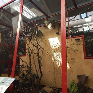 Blackburn Pavilion - indoor aviary 180322