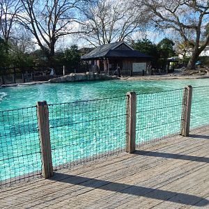 Penguin Beach 180322