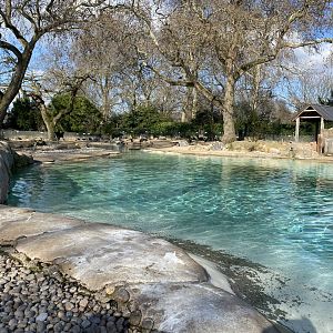 Penguin Beach 180322