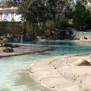 Penguin Beach 180322