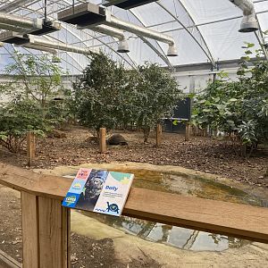 Giants of the Galapagos 180322