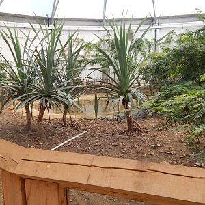 Giants of the Galapagos 180322